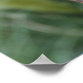 HEB JE EEN BENOEMING? - poster/afdruk Poster (Hoek)