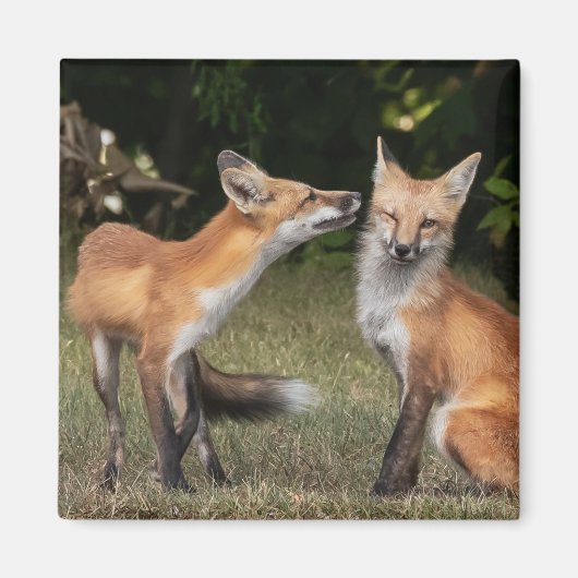 Heb je een mint? magneet (Voorkant)