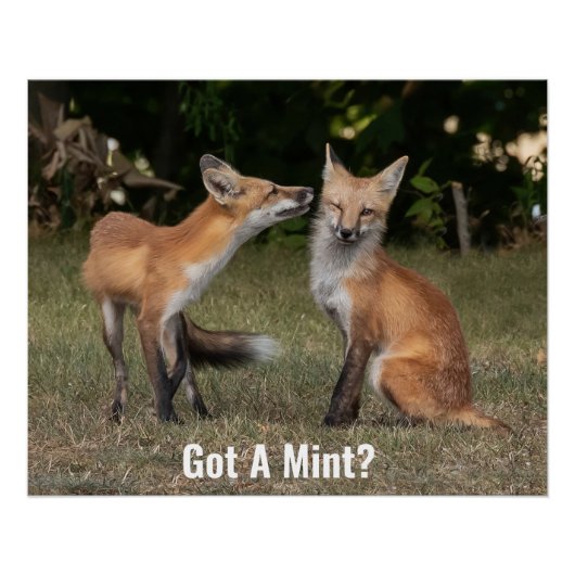 Heb je een mint? perfect poster (Voorkant)