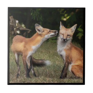 Heb je een mint? tegeltje