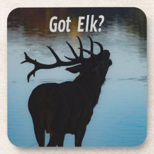 Heb je Elk? Funny Hunter Humor Bier Onderzetter