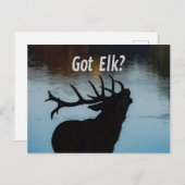 Heb je Elk? Funny Hunter Humor Briefkaart (Voorkant / Achterkant)