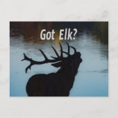 Heb je Elk? Funny Hunter Humor Briefkaart (Voorkant)
