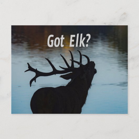 Heb je Elk? Funny Hunter Humor Briefkaart (Voorkant)