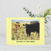 Heb je Herd? Westerne veestapel Kaart (Staand voorkant)