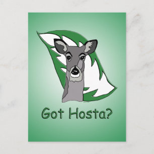Heb je Hosta? Briefkaart