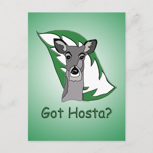 Heb je Hosta? Briefkaart (Voorkant)