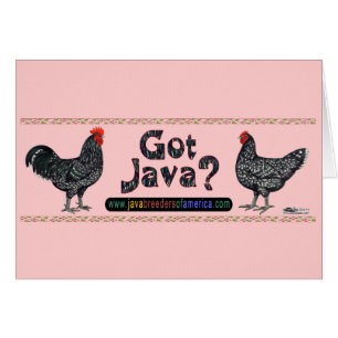 Heb je Java?