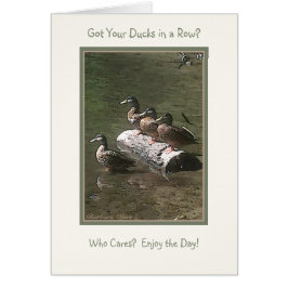 Heb je je eenden in een rij?