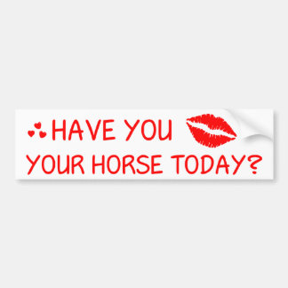 Heb je je paard vandaag gekust? bumpersticker