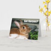 Heb je Karpas? Kaart (Gele Bloem)