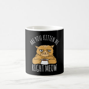 Heb je me de juiste woordspeling gegeven? koffiemok