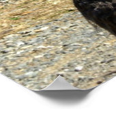 Heb je met mij gepraat? poster (Hoek)