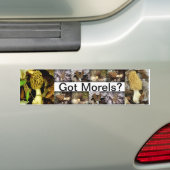 Heb je Morels? Paddenstoelen Bumpersticker (Op auto)