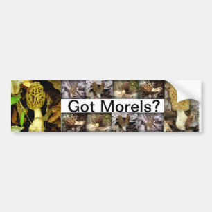 Heb je Morels? Paddenstoelen Bumpersticker