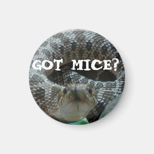 Heb je muizen? Hognose Magnet Magneet