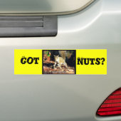 Heb je noten? bumpersticker (Op auto)