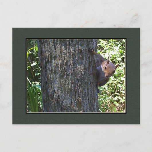 Heb je Nuts? Briefkaart (Voorkant)