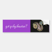 Heb je polychaetae? bumpersticker (Voorkant)