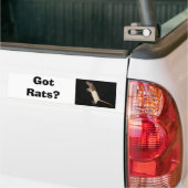 Heb je Rats? Bumpersticker (Op Truck)