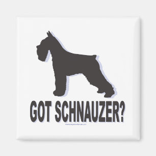 Heb je Schnauzer? Magneet