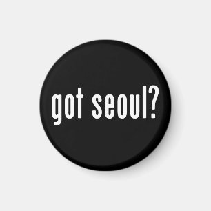 Heb je seoul? magneet