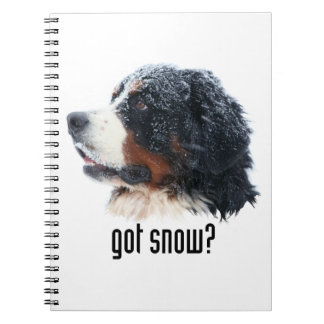 Heb je sneeuw? Bernese Mountain Dog Notitieboek