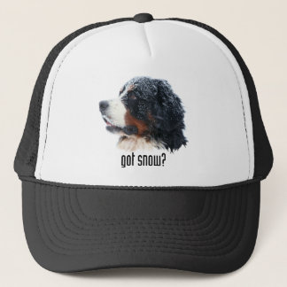 Heb je sneeuw? Bernese Pet