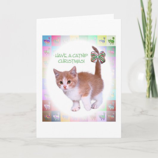 Heb Kerstmis Catnip! Feestdagen Kaart (Voorkant)