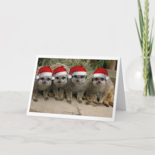Heb Kerstmis Meerkat! Feestdagen Kaart (Voorkant)