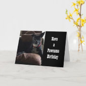 HEBBEN EEN **PAWSOME GROTE DAG** KAART (Gele Bloem)