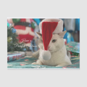 Hebben een perfecte Catsmas Grappige Kerstkat Tissuepapier