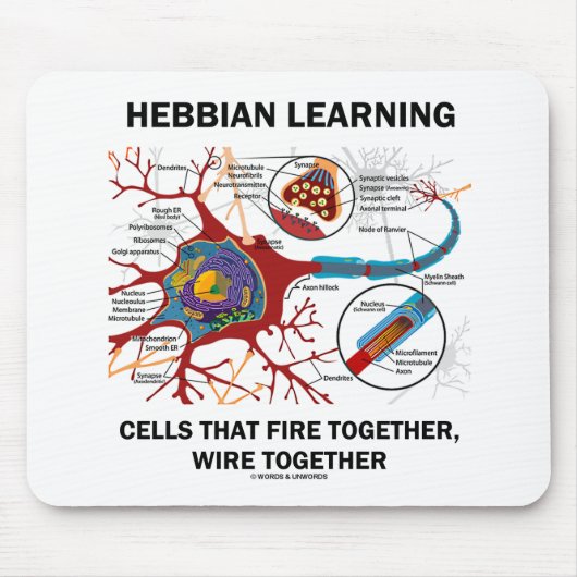 Hebbian Learning Cells Fire Together Wire Samen Muismat (Voorkant)