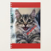 Hebdomadaire et mensuel personnalisé