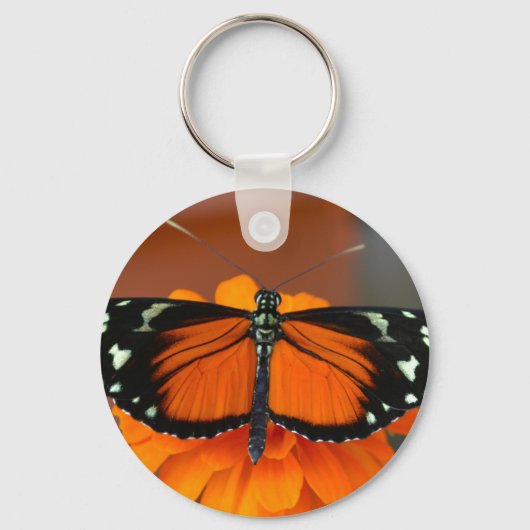 Hecale Longwing Butterfly Sleutelhanger (Voorkant)