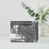 Heceta Head Lighthouse Briefkaart b&w (Staand voorkant)