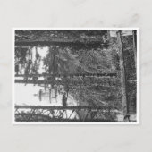 Heceta Head Lighthouse Briefkaart b&w (Voorkant)