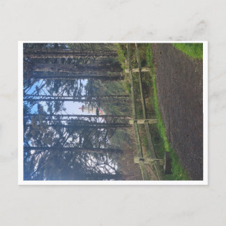 Heceta hoofd vuurtoren van trail briefkaart