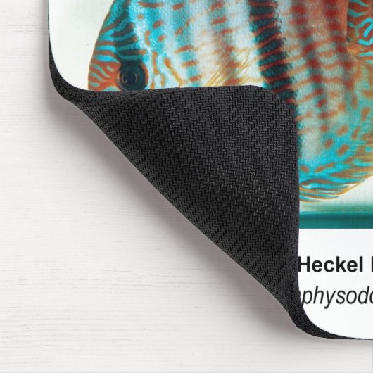 Heckel Blue Discusのマウスパッド Muismat (Hoek)