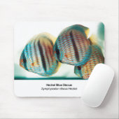 Heckel Blue Discus Muismat (Met muis)