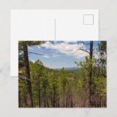 Heddy Draw Overlook, Custer State Park, SD Briefkaart (Voorkant / Achterkant)