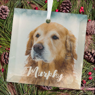 Hedendaagse huisdier foto gepersonaliseerde grilli glas ornament