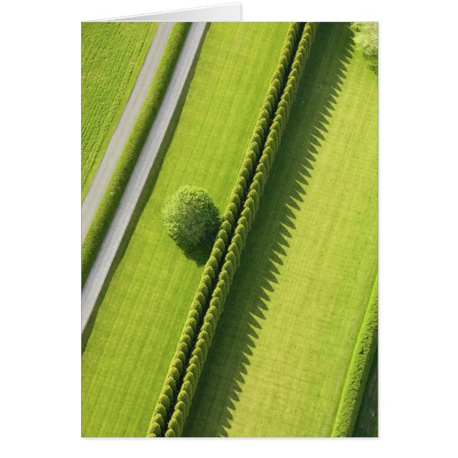 Hedge in The Hamptons (Voorkant)