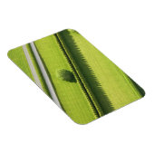 Hedge in The Hamptons Magneet (Rechterzijde)