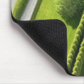 Hedge in The Hamptons Muismat (Hoek)