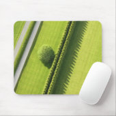 Hedge in The Hamptons Muismat (Met muis)