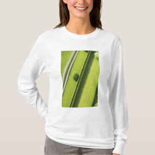 Hedge in The Hamptons T-shirt