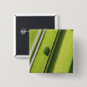 Hedge in The Hamptons Vierkante Button 5,1 Cm (Voorkant /achterkant)