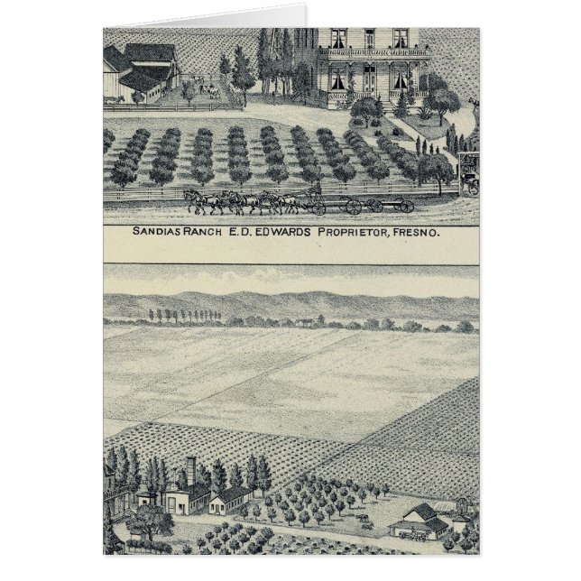 Hedge Row Vineyard, Fresno (Voorkant)