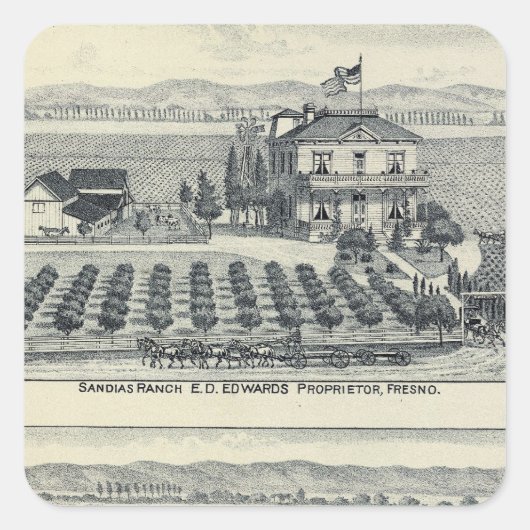 Hedge Row Vineyard, Fresno Vierkante Sticker (Voorkant)